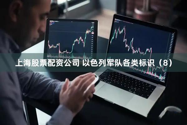上海股票配资公司 以色列军队各类标识（8）